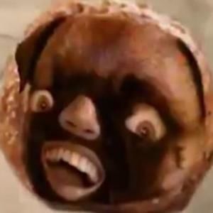 Meet your Posher, Herb